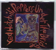 Red Hot Chili Peppers - Under The Bridge CD1